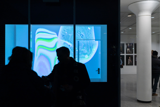"The Turbulent Flow" im Schaufenster des Gustav-Lübcke-Museums in Hamm während der Ausstellung "INTERCONNECTIONS". Foto: Lukas Höhler.